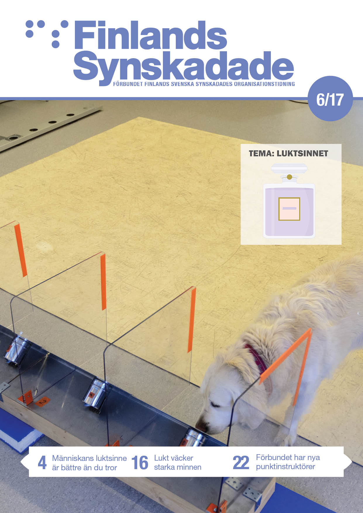 Hund luktar på luktprov. 