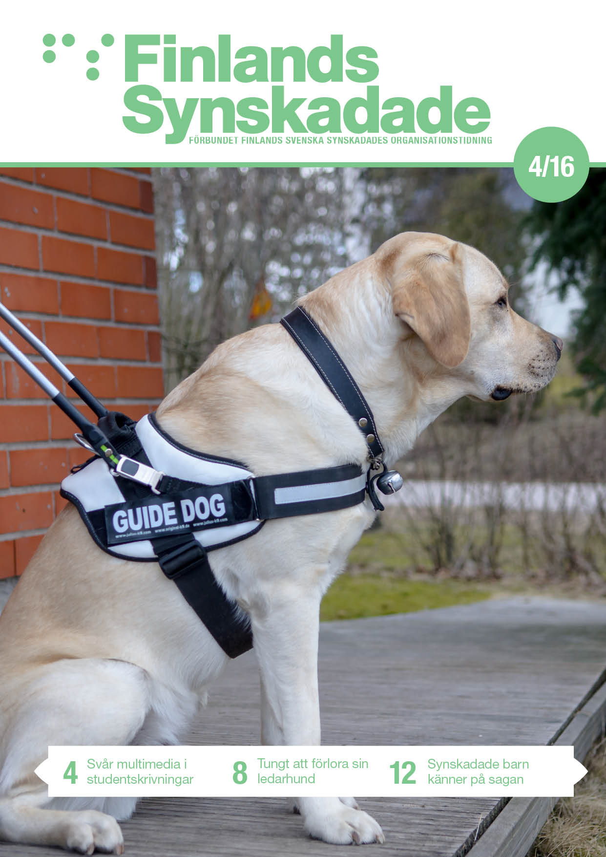 Pärmbild: Född i Danmark och uppvuxen i Skåne i Sverige. Kenneth Ekholms nya ledarhund Assar är berest och världsvan redan innan sin tjänstgöring.