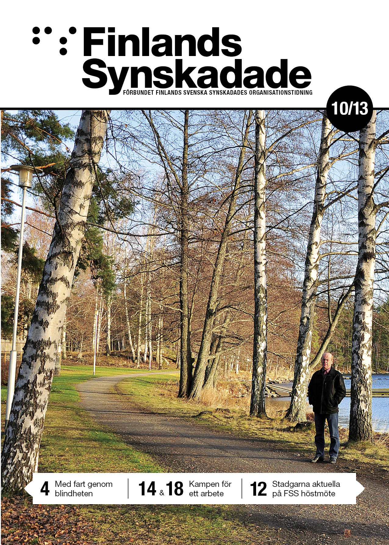 Finlands Synskadade nummer 10, 2013