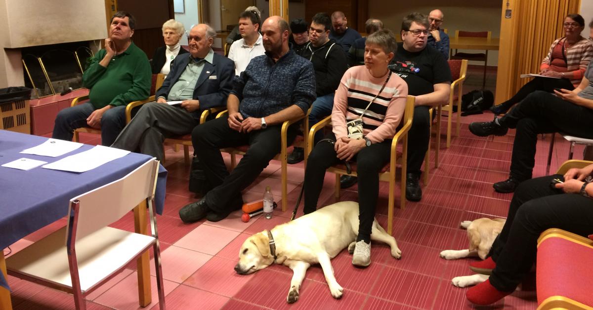 En grupp personer sitter och lyssnar i en föreläningssal. En ljud ledarhund sover på golvet.