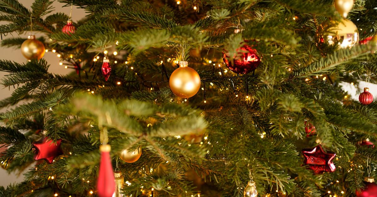 Närbild på en julgran med dekorationer i rött och guld.