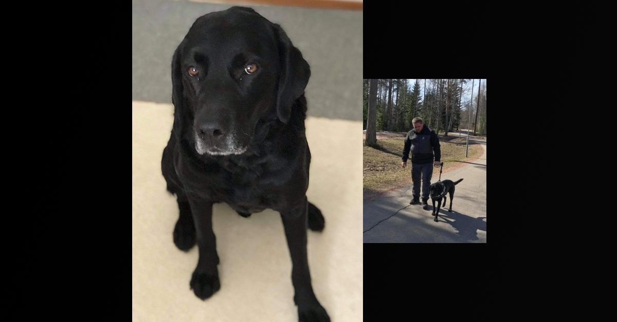 Kenneth Danielsson och hans svarta ledarhund, labradoren Otso. 
