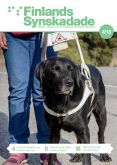 Svart labrador i ledarhundsele