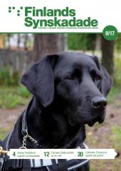 Svart labrador spejar ivrigt