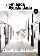 Finlands Synskadade nummer 4, 2013