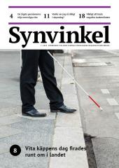 Synvinkel nummer 7, 2019