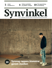 Synvinkel nummer 1, 2020